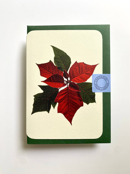 Poinsettia Christmas Greeting Card