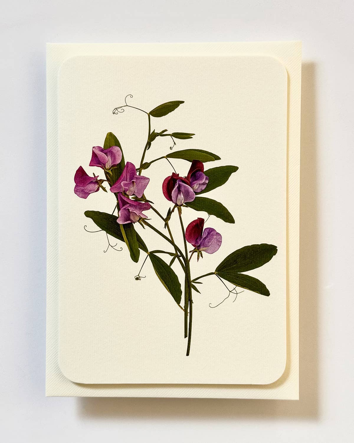 Violet Sweet Peas Greeting Card