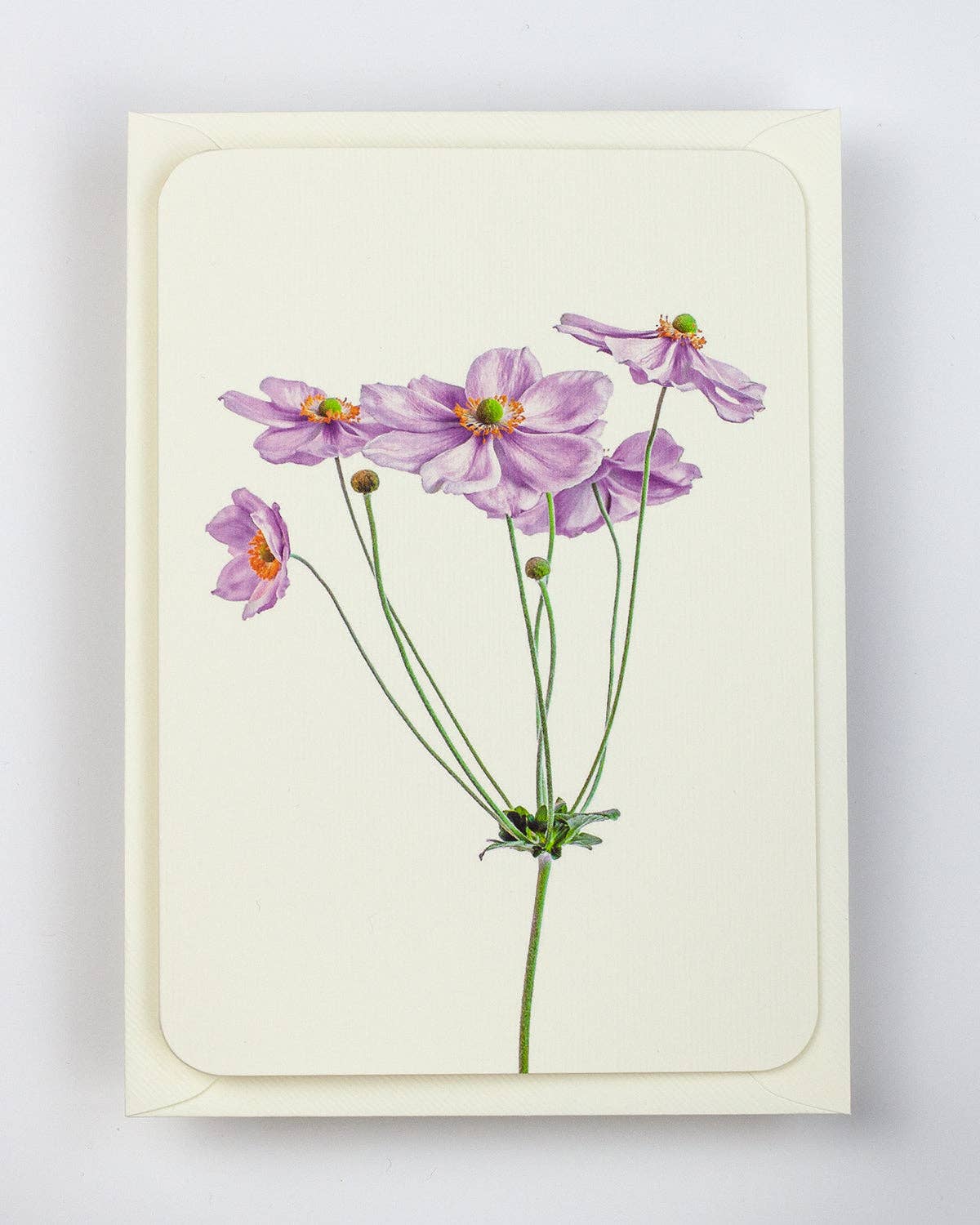 Anemone Greeting Card