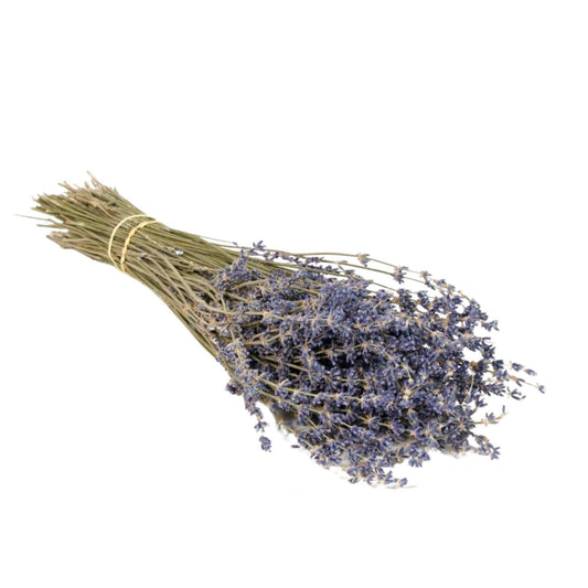 Fiori secchi - Lavanda naturale