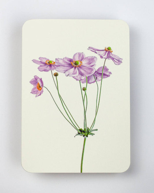 Anemone Greeting Card