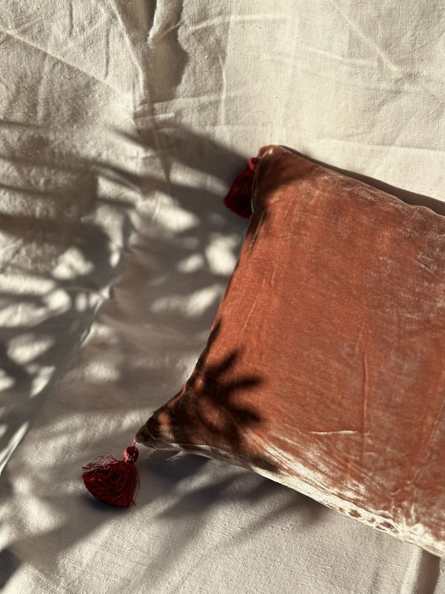 Velvet Tassels Cushion - Etosha