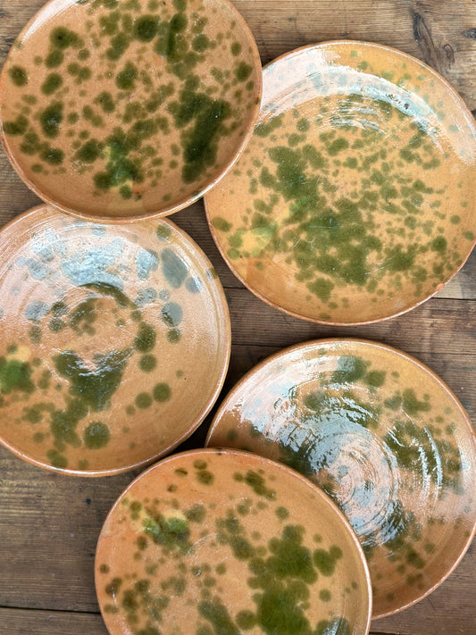 Antique Hand Painted Plates - Set of 5