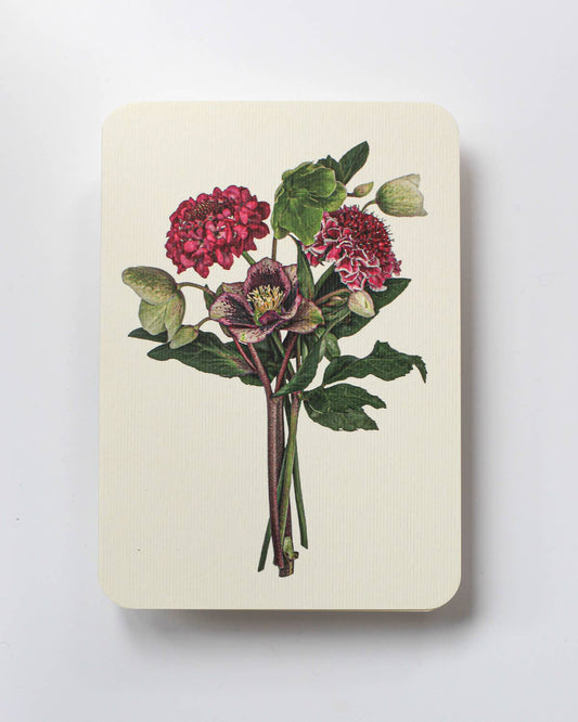 Hellebore & Scabiosa Greeting Card